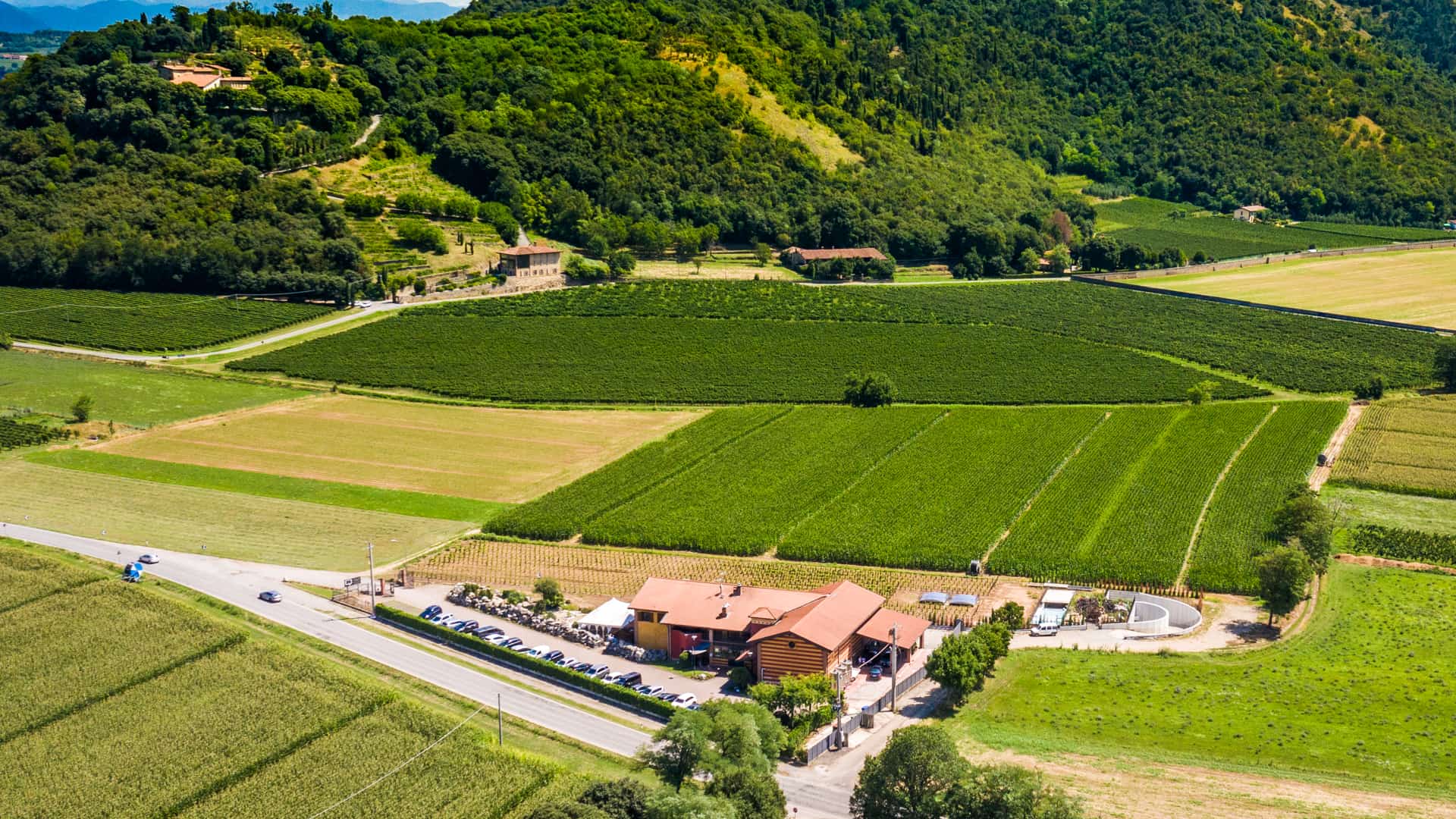 Gita fuori porta, due cantine in Lombardia: Quadra e Biava