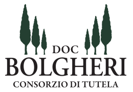 Degustazione: alla scoperta di Bolgheri 