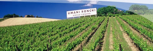 Degustazione Umani Ronchi