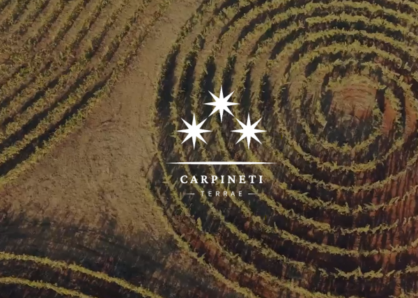 Degustazione Marco Carpineti