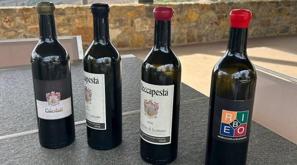 Degustazione Morellino di Scansano Produttore Roccapesta