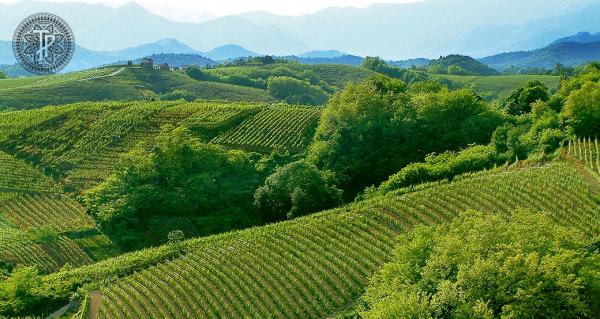 Visita a Torraccia del Piantavigna