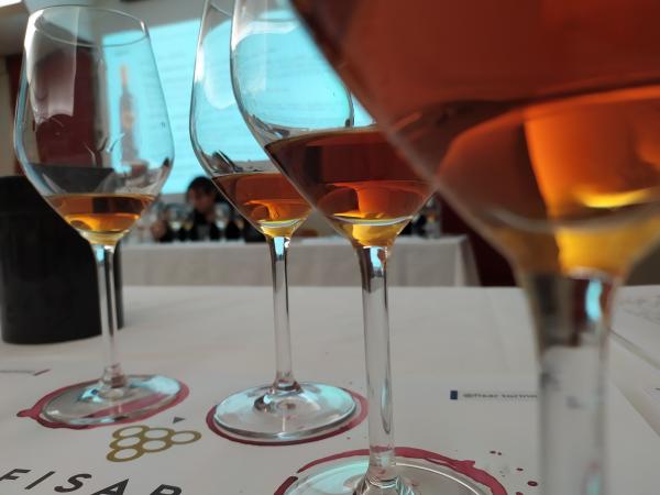 Degustazione Consorzio DOC Pantelleria operatori HoReCa 