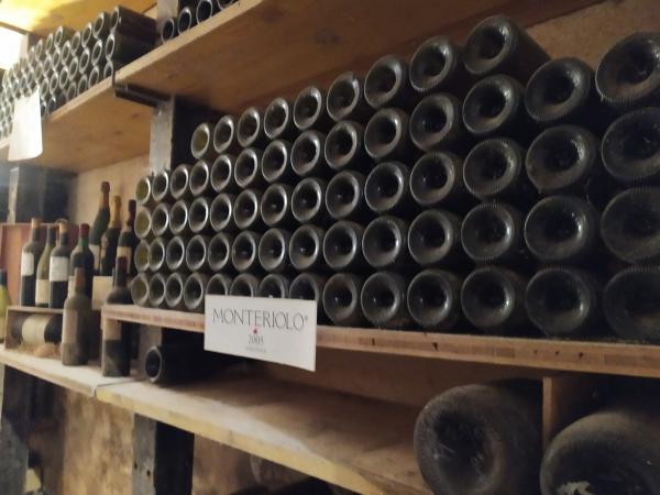 Visita cantina Azienda Coppo a Canelli