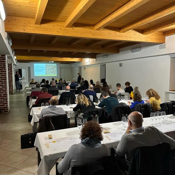 Degustazione di Collio DOC e prodotti del territorio