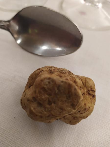 Cena tartufi da Tabui con i vini Ca' Viola