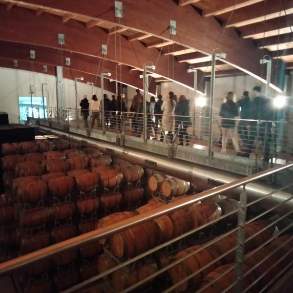 Visita cantina Vite Colte
