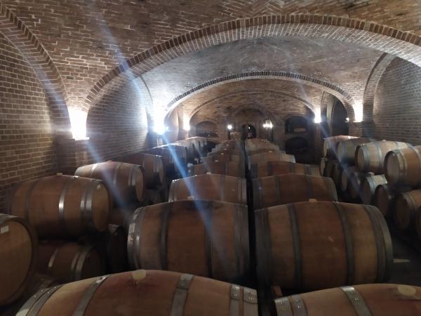 Visita Cascina Chicco