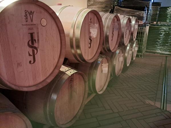 Visita Josetta Saffirio