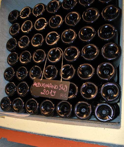 Visita a Cantine Roggero - Albugnano