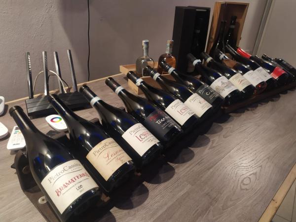 Visita cantina Pietro Cassina - Lessona 